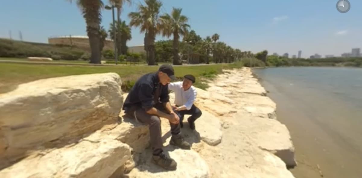 קהל חווה את השנה השביעית