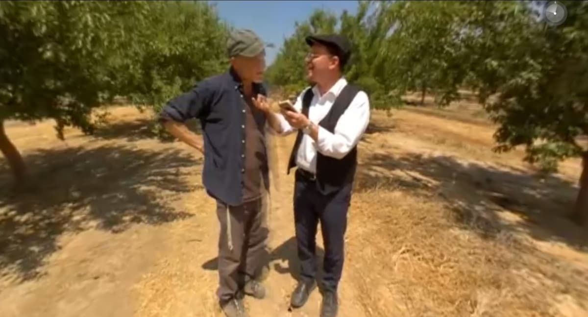 קהל חווה את השנה השביעית