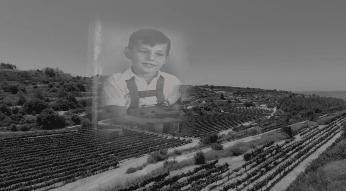 קהל חווה את חנן פורת