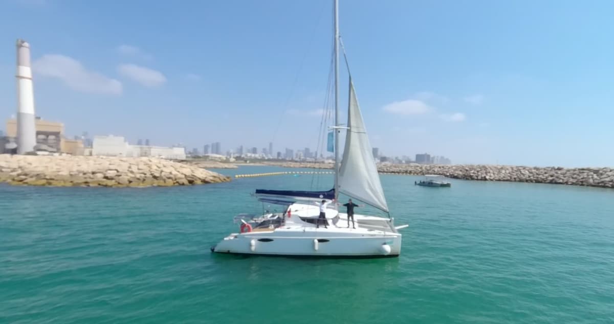 קהל חווה את השנה השביעית